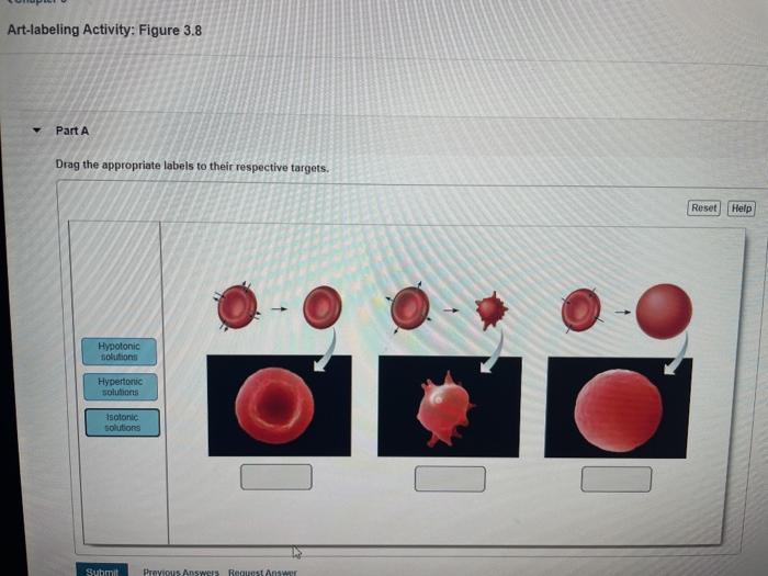 Art labeling activity figure 24.5