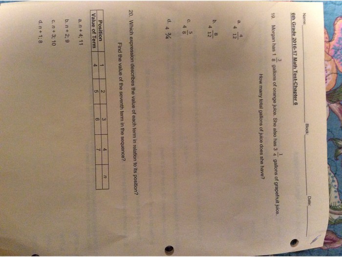 Chapter 1 mid chapter test