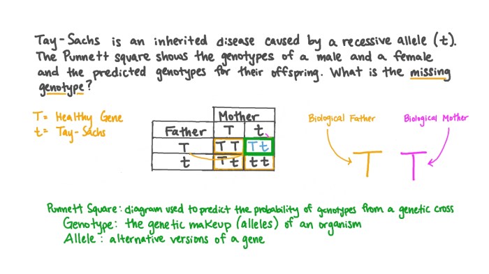 Punnett square tay sachs disease