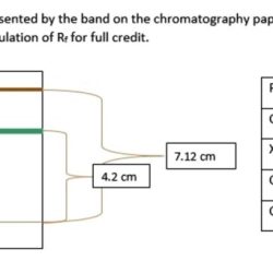 Chromatography pigments