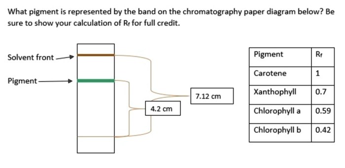 Chromatography pigments