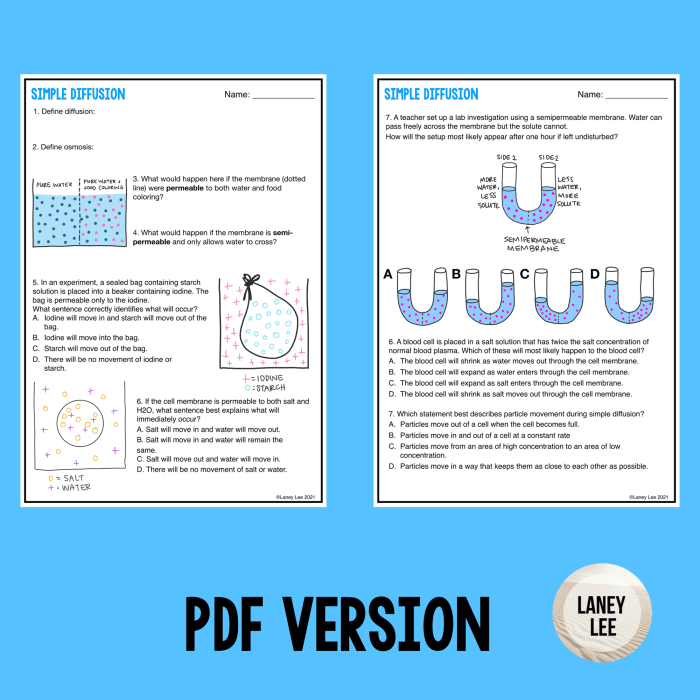 Osmosis and diffusion practice worksheet answers