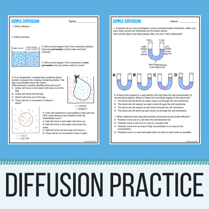 Osmosis and diffusion practice worksheet answers