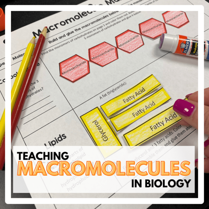 Bozeman science video questions molecules of life answer key