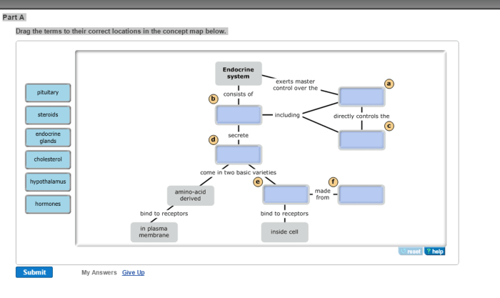 Drag the terms to complete the concept map below.