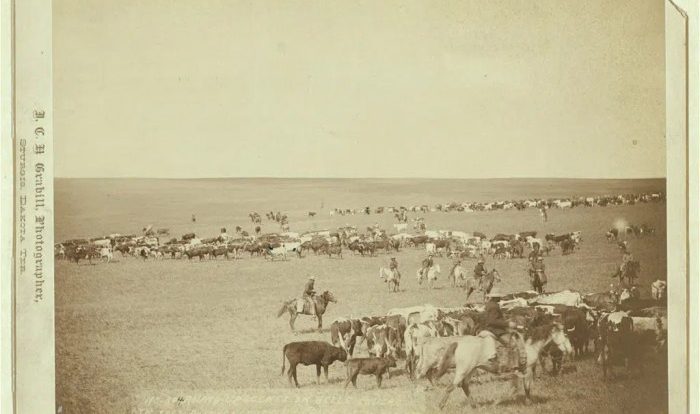 Cattle drives drive century 19th cowboys kansas california dust writer guide back time timetoast rush