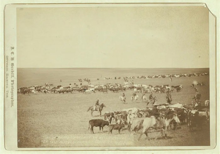 Cattle drives drive century 19th cowboys kansas california dust writer guide back time timetoast rush