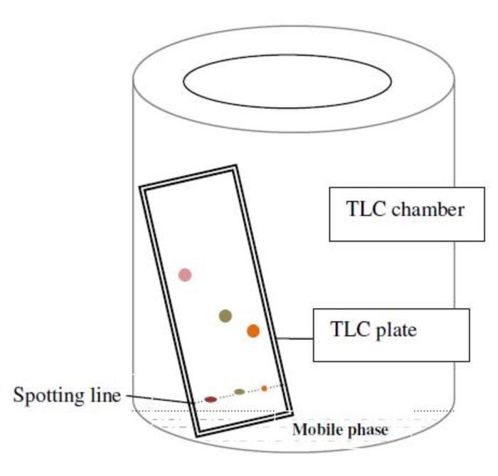 Chromatography pigments plant separation using